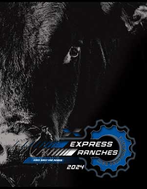 Performance Bulls Cover thumbnail